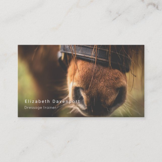 Cute Brown Horse Nose Business Card (Front)