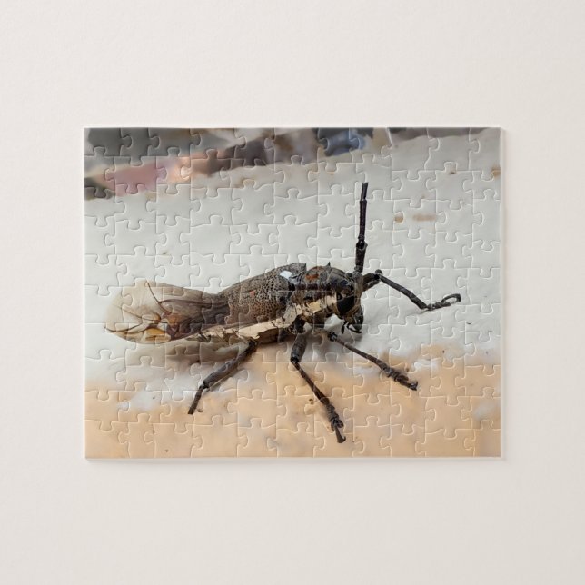  Cute Brown Insect Bug  Jigsaw Puzzle (Horizontal)