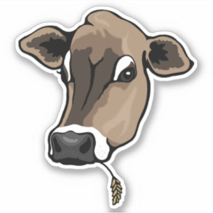 Cute Brown Jersey Cow