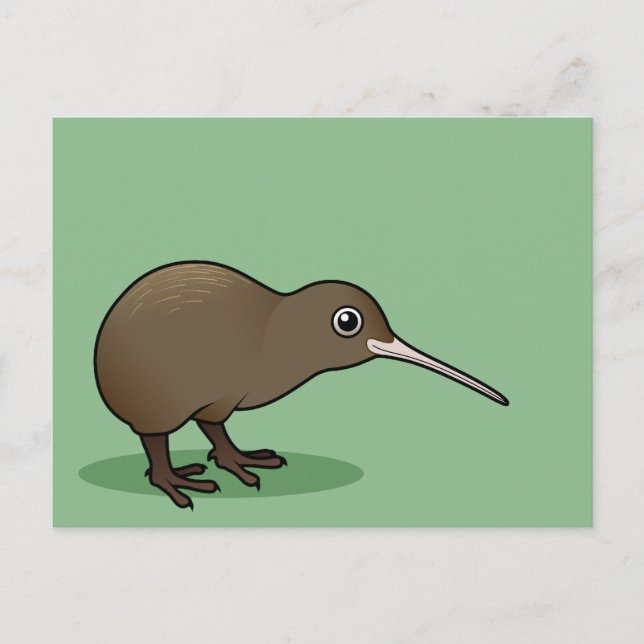 Cute Brown Kiwi from New Zealand Postcard (Front)