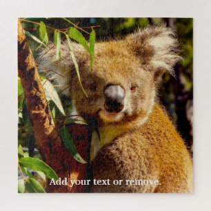 Cute brown koala bear eating eucalyptus leaves, jigsaw puzzle