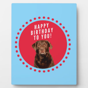 Cute Brown Labrador Retriever Dog Happy Birthday Plaque