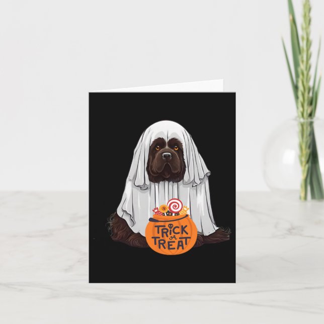 Cute Brown Newfoundland Dog Halloween  Card (Front)