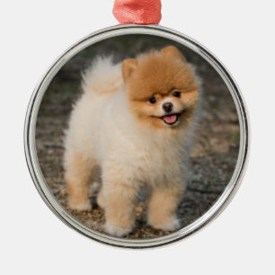 Cute Brown Pomeranian Puppy Dog Metal Tree Decoration