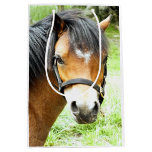CUTE BROWN PONY MEDIUM GIFT BAG