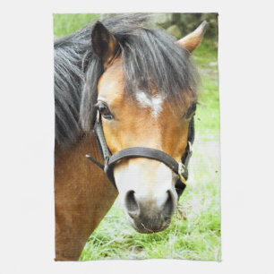 CUTE BROWN PONY  TEA TOWEL