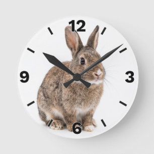 Cute Brown Rabbit Bunny Farm Nursery Decor Round Clock
