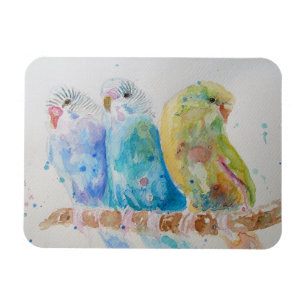 Cute Budgie budgies bird Watercolour Art Magnet