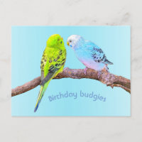 Cute budgie couple - custom