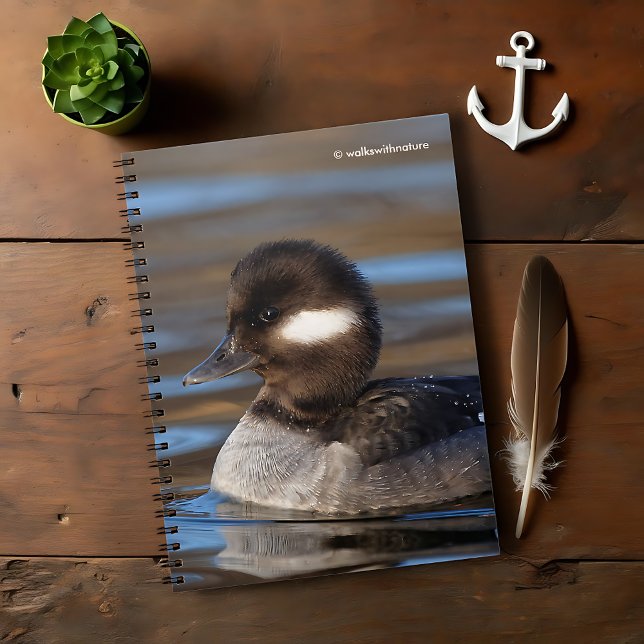 Cute Bufflehead Duck on Sunlit Waters Spiral Notebook (Cute Bufflehead Duck on Sunlit Waters Journal Cover Photo)