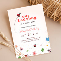 Cute Bug Ladybug Baby Girl 1st Birthday Party