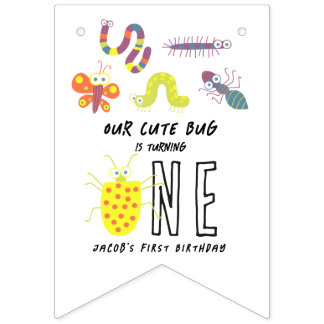 Cute Bug Worm Buttefly Kids 1st Birthday Party  Bunting