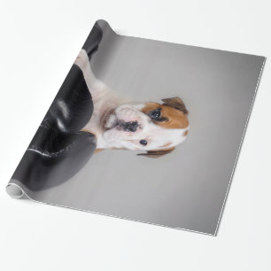 Cute Bulldog Boxer English Bulldog Lover Gift Wrapping Paper
