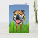 Cute Bulldog Greeting Card<br><div class="desc">I'm a huge animal lover and advocating for them and creating art/cartoons is my passion. You can easily customize this card by selecting the blue "edit it or personalize it" button. If you'd like YOUR dog drawn in this cartoon fashion to put on Zazzle products of your choice, please message...</div>