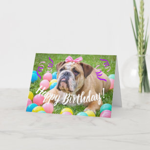 Cute Bulldog Happy Birthday Card