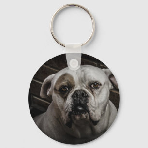 Cute Bulldog Key Ring