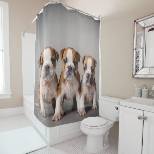 Cute Bulldog Puppies Dog Lovers Gift Shower Curtain