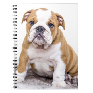 Cute Bulldog Puppy Sitting Down Notebook