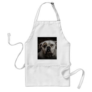 Cute Bulldog Standard Apron