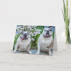 Cute Bulldogs Best Friends Personalized Card