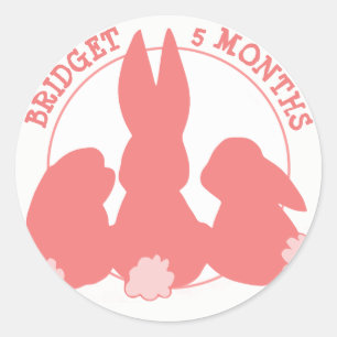 Cute Bunnies Monthly Milestone Sticker