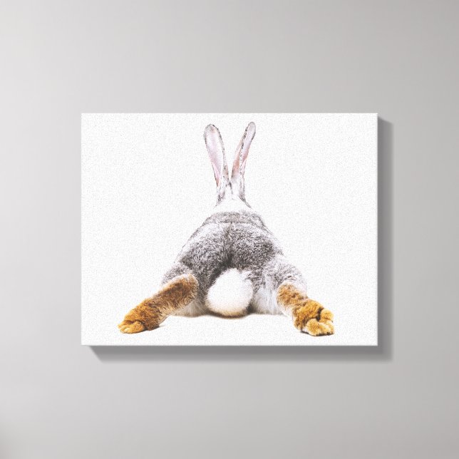Cute Bunny Cotton Tail Animal Canvas Wall Art (Front)