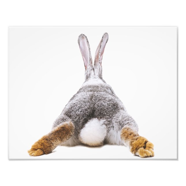 Cute Bunny Cotton Tail Animal  Wall Art (Front)