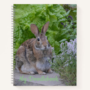Cute Bunny Doodle Book