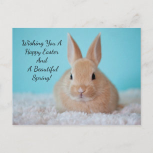 Cute Bunny Easter Holiday Postcard