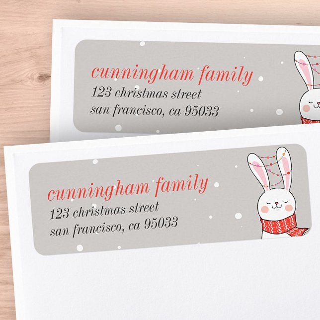 Cute Bunny Rabbit Holiday Greeting (Creator Uploaded)