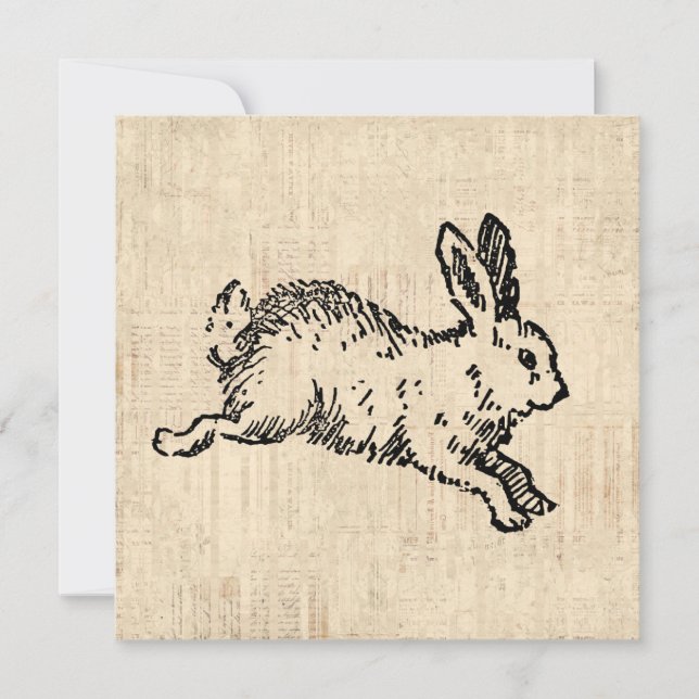 Cute Bunny Rabbit Vintage Illustration Script Art Card (Front)