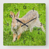 Cute Bunny Rabbit Wild Animals Square Wall Clock