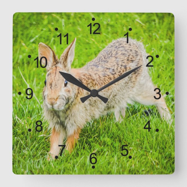 Cute Bunny Rabbit Wild Animals Square Wall Clock (Front)