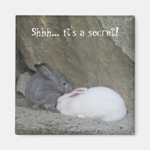 Cute Bunny Rabbits with Saying Magnet