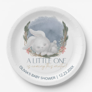 Cute Bunny Snowly Winter Baby Shower Paper Plate