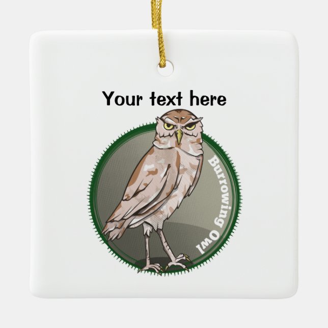 Cute Burrowing Owl Ceramic Ornament (Front)