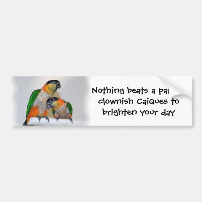 Cute Caique Parrot Pair Bumper Sticker (Front)
