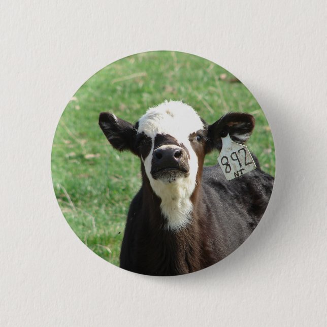 Cute Calf 6 Cm Round Badge (Front)