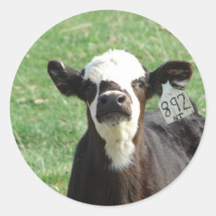 Cute Calf Classic Round Sticker