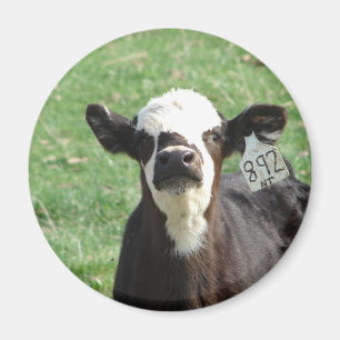 Cute Calf Magnet