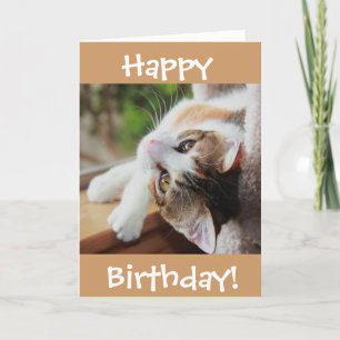 Cute Calico Cat Birthday Card, purr-fect day! Card