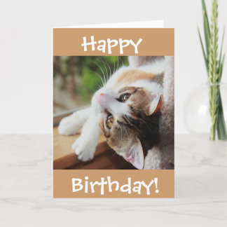 Cute Calico Cat Birthday Card, purr-fect day! Card