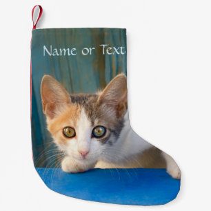 Cute Calico Cat Kitten Funny Curious Eyes - Name - Small Christmas Stocking