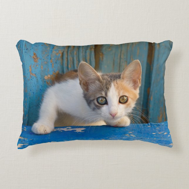 Cute Calico Cat Kitten Funny Curious Eyes Photo -/ Decorative Cushion (Front)
