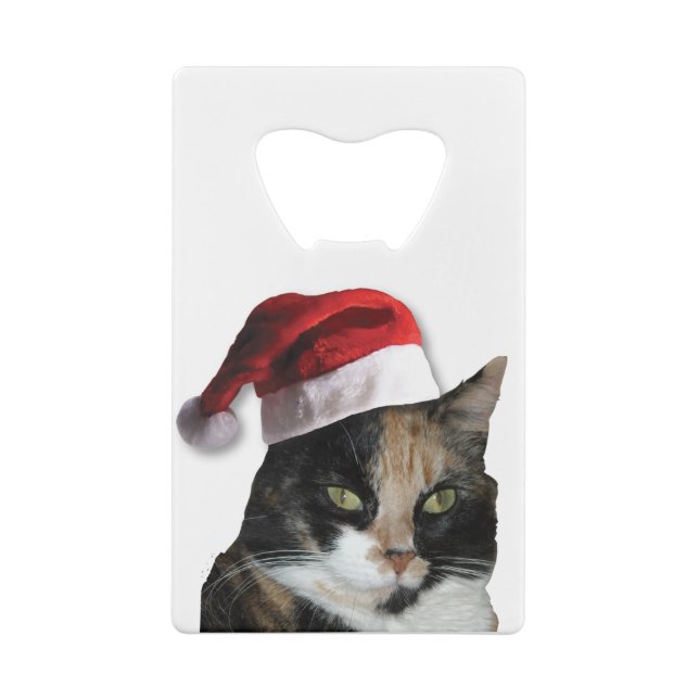 Cute Calico Cat Wearing Santa Hat (Back)