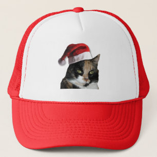 Cute Calico Cat Wearing Santa Hat