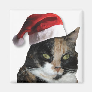 Cute Calico Cat Wearing Santa Hat Magnet