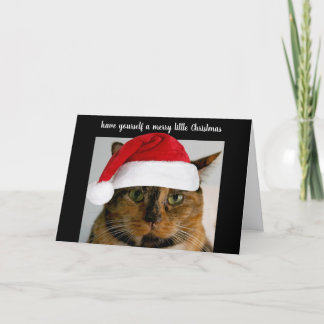 Cute calico cat with Santa cap, personalized Holiday Card