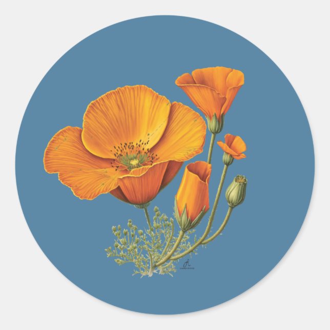 Cute California Poppy Flower Vintage Sticker Sheet (Front)