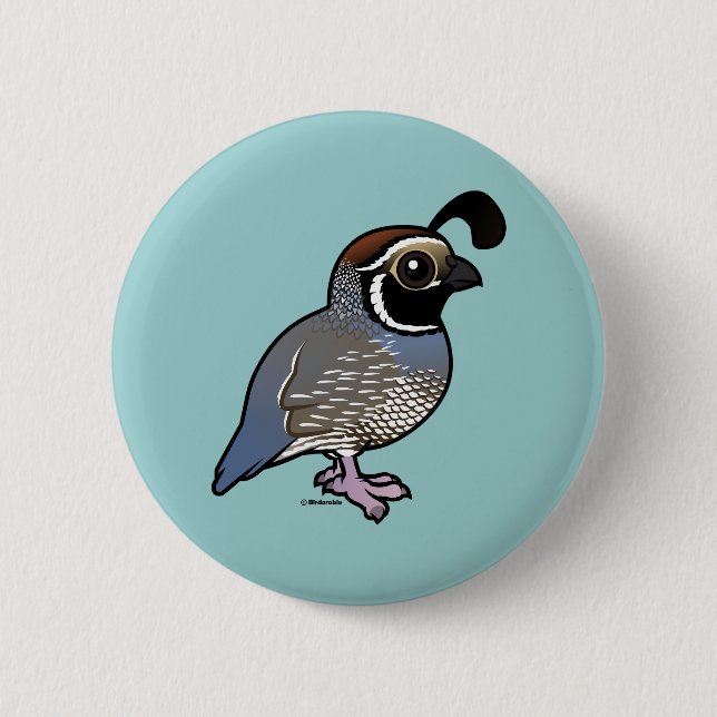 Cute California Quail 6 Cm Round Badge (Front)